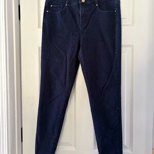 Ann Taylor Dark Blue Skinny Jeans